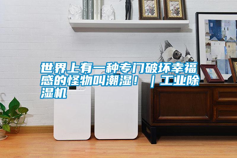 世界上有一種專門破壞幸福感的怪物叫潮濕?。I除濕機