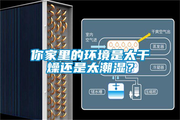 你家里的環(huán)境是太干燥還是太潮濕？