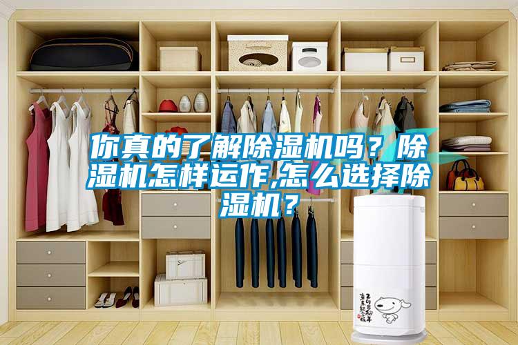 你真的了解除濕機嗎?除濕機怎樣運作,怎么選擇除濕機?