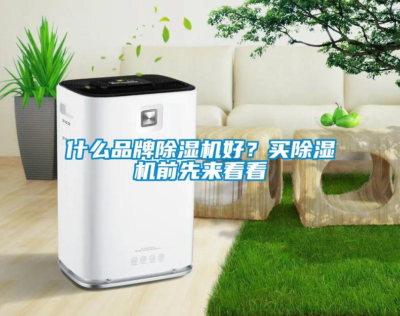 什么品牌除濕機好？買除濕機前先來看看