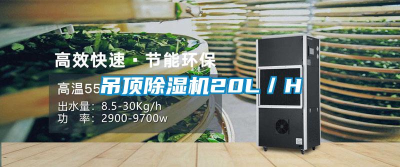 吊頂除濕機20L/H
