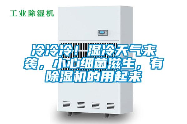 冷冷冷！濕冷天氣來襲，小心細菌滋生，有除濕機的用起來