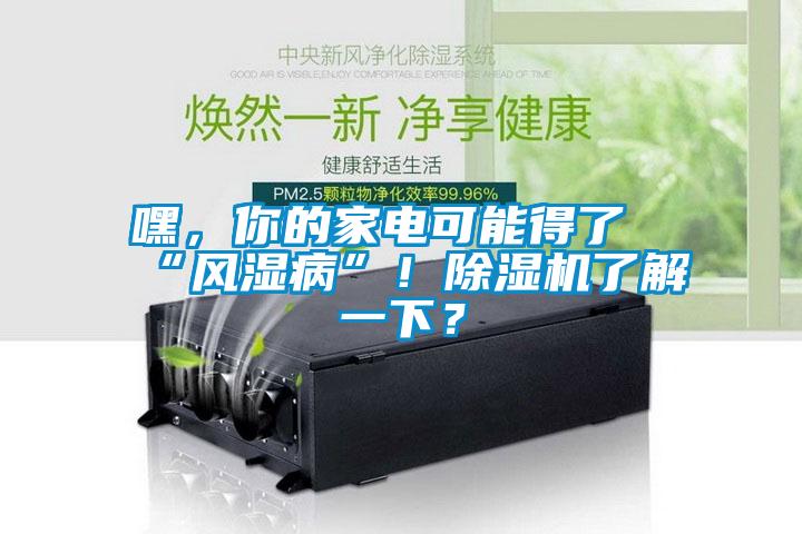 嘿,你的家電可能得了“風濕病”!除濕機了解一下?