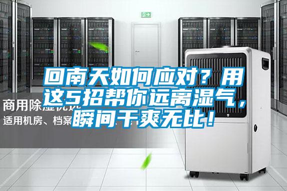 回南天如何應對？用這5招幫你遠離濕氣，瞬間干爽無比！