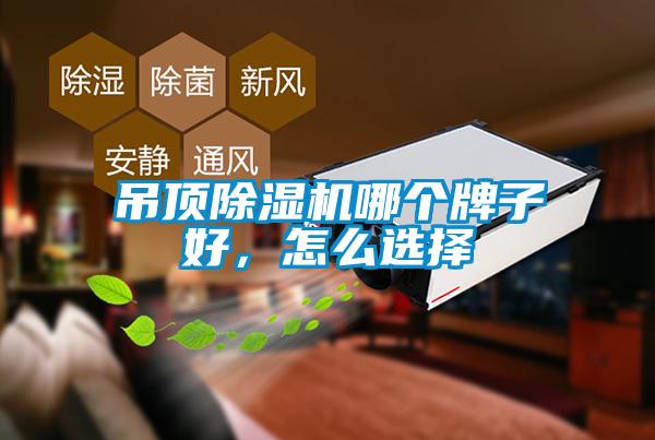 吊頂除濕機哪個牌子好，怎么選擇