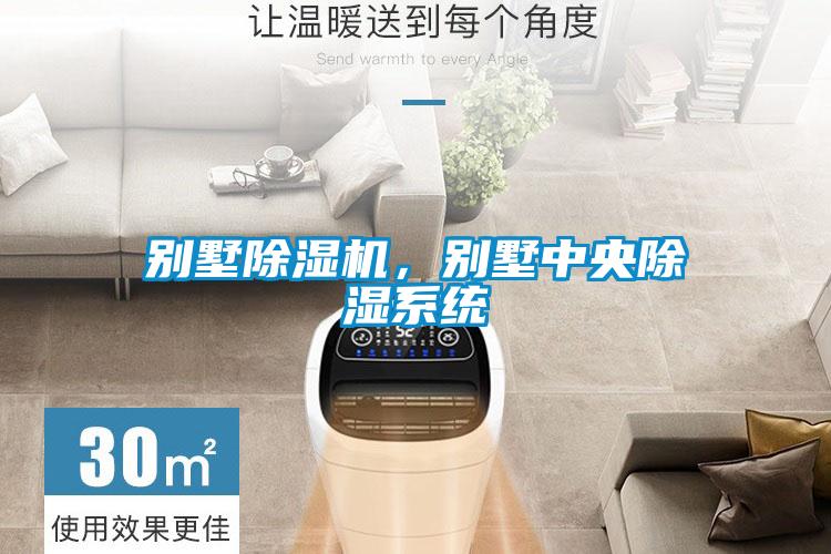 別墅除濕機，別墅中央除濕系統