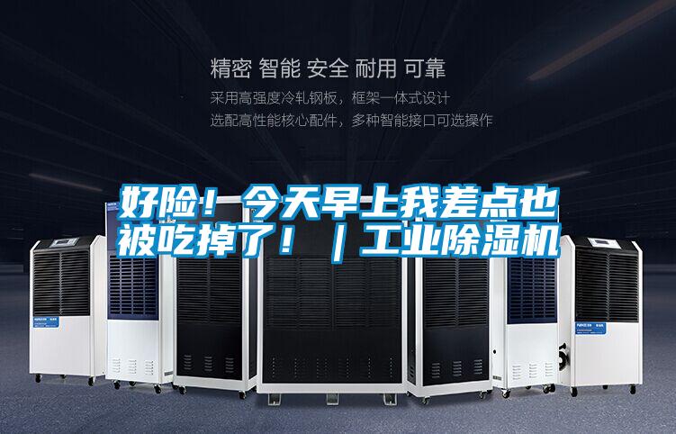 好險！今天早上我差點也被吃掉了?。I除濕機