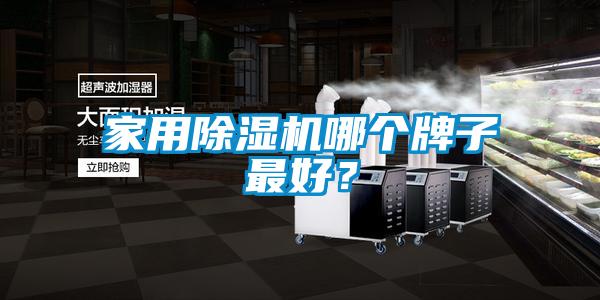家用除濕機哪個牌子最好？