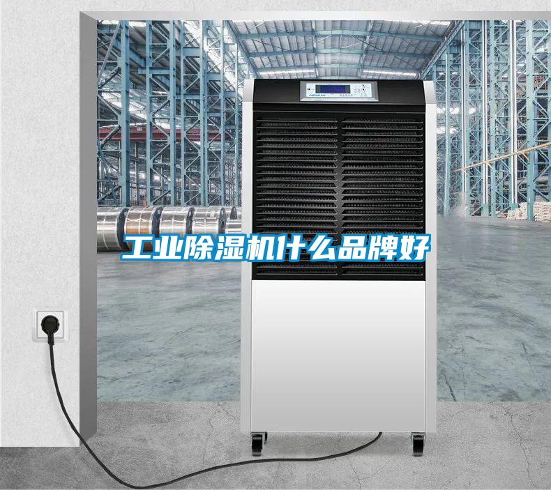 工業(yè)除濕機(jī)什么品牌好