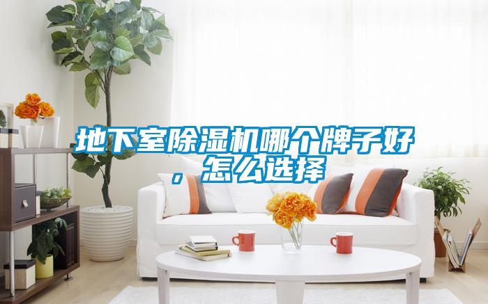 地下室除濕機(jī)哪個(gè)牌子好,怎么選擇
