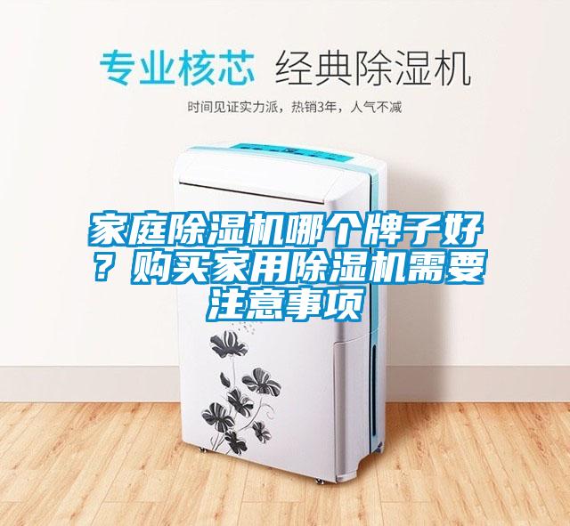 家庭除濕機哪個牌子好？購買家用除濕機需要注意事項