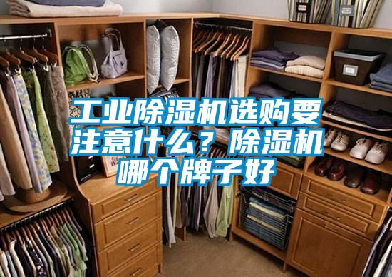 工業除濕機選購要注意什么？除濕機哪個牌子好