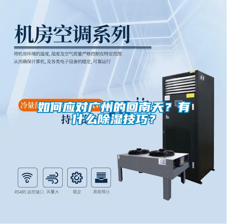 如何應對廣州的回南天？有什么除濕技巧？