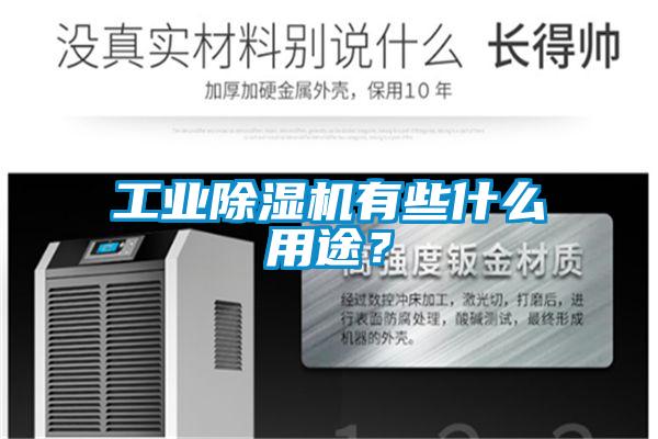 工業除濕機有些什么用途?