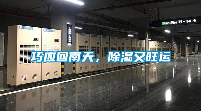 巧應(yīng)回南天,除濕又旺運(yùn)