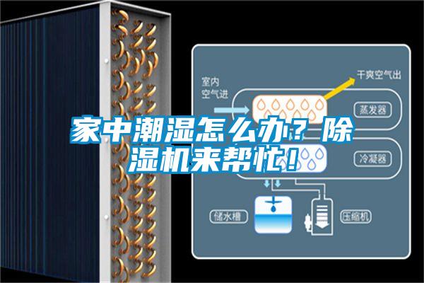 家中潮濕怎么辦？除濕機來幫忙！