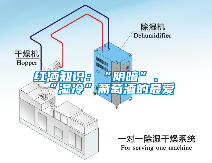 紅酒知識:“陰暗”、“濕冷”葡萄酒的最愛