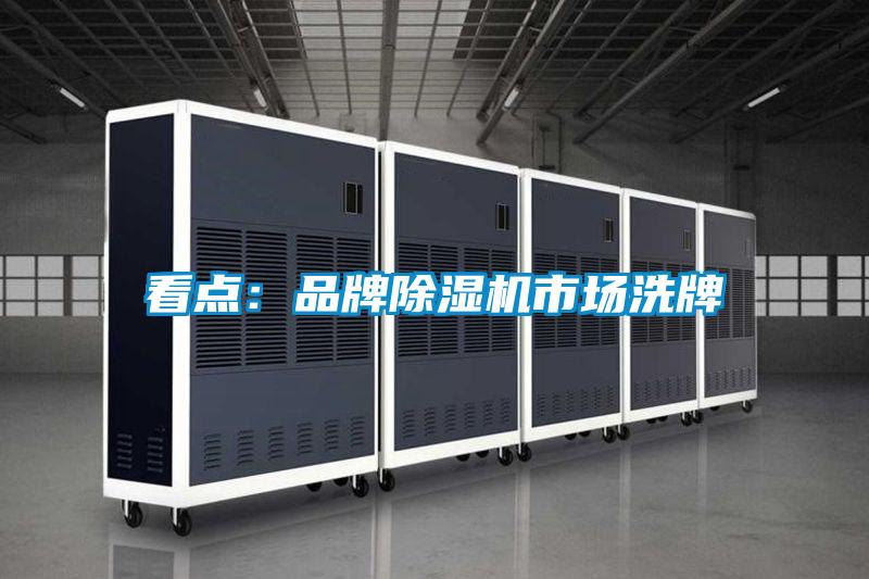 看點:品牌除濕機市場洗牌