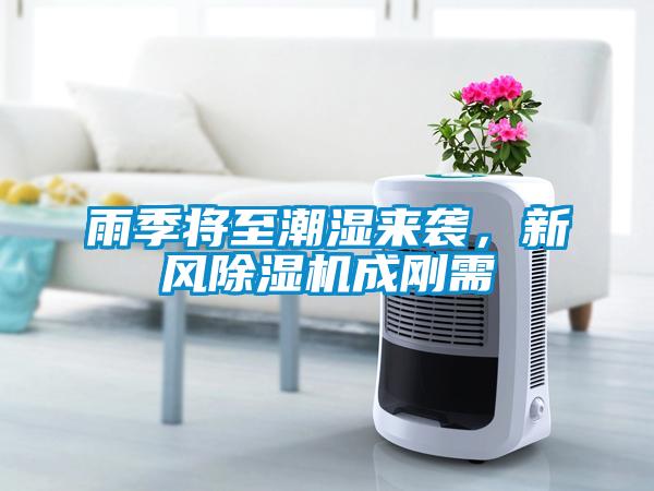 雨季將至潮濕來襲，新風除濕機成剛需