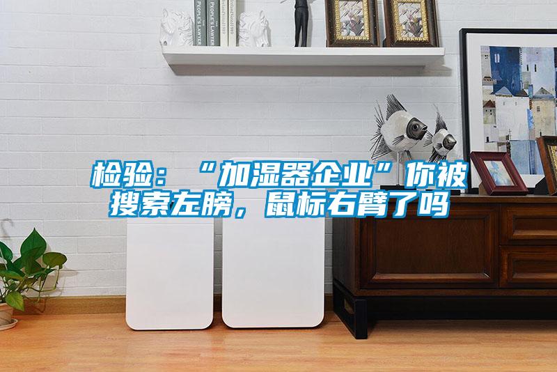 檢驗:“加濕器企業”你被搜索左膀,鼠標右臂了嗎