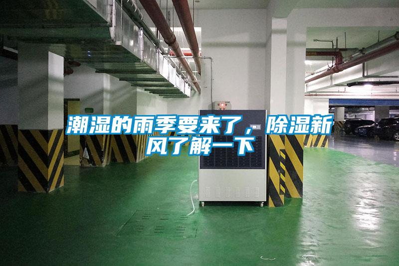 潮濕的雨季要來了,除濕新風了解一下