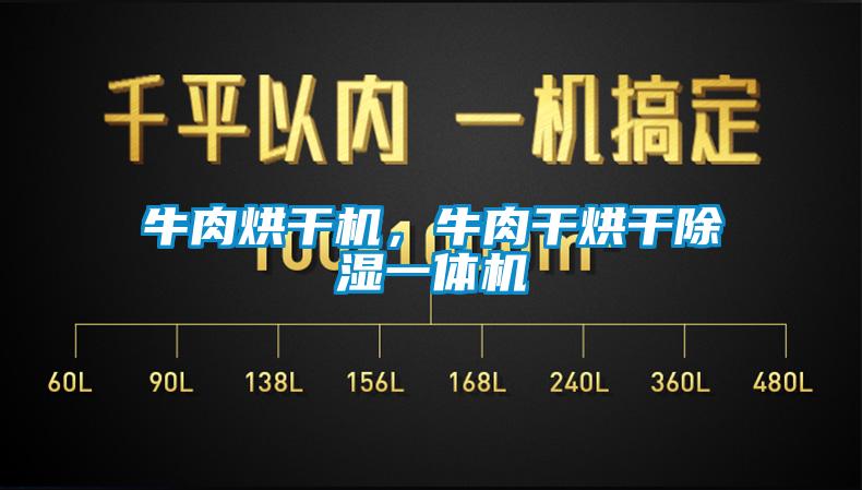 牛肉烘干機,牛肉干烘干除濕一體機