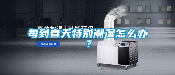 每到春天特別潮濕怎么辦?