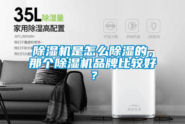 除濕機是怎么除濕的，那個除濕機品牌比較好？