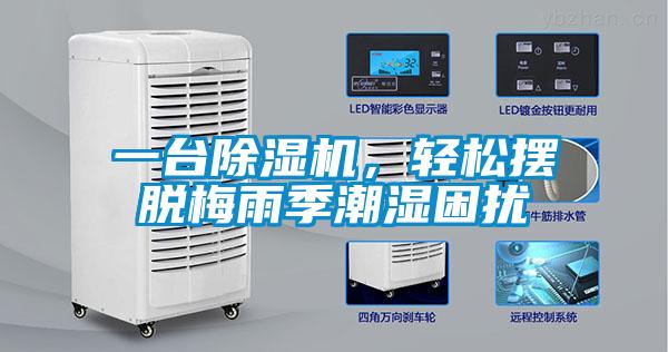 一臺除濕機,輕松擺脫梅雨季潮濕困擾