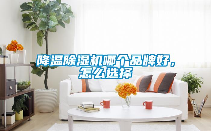 降溫除濕機哪個品牌好,怎么選擇