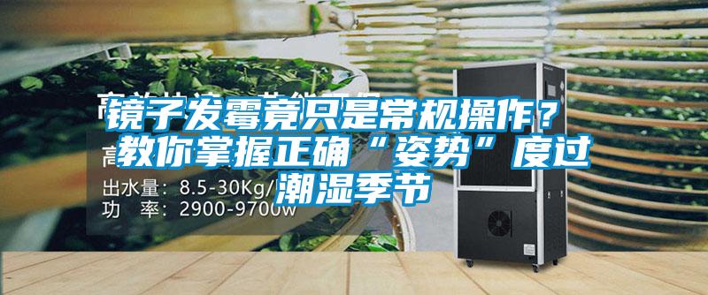 鏡子發霉竟只是常規操作? 教你掌握正確“姿勢”度過潮濕季節