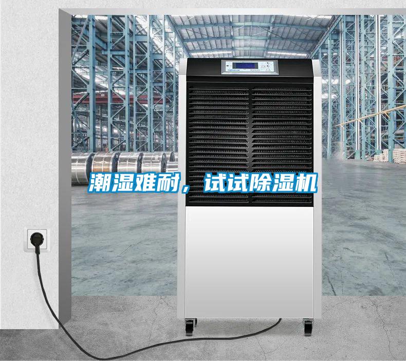 潮濕難耐，試試除濕機