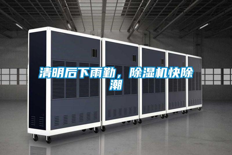 清明后下雨勤,除濕機快除潮