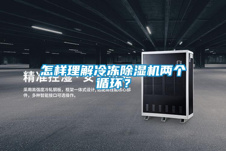 怎樣理解冷凍除濕機兩個循環？