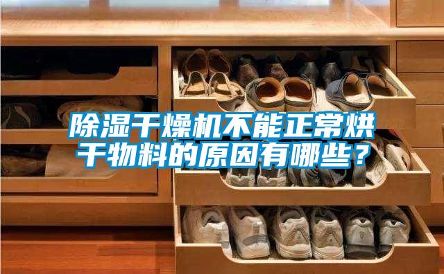 除濕干燥機不能正常烘干物料的原因有哪些?