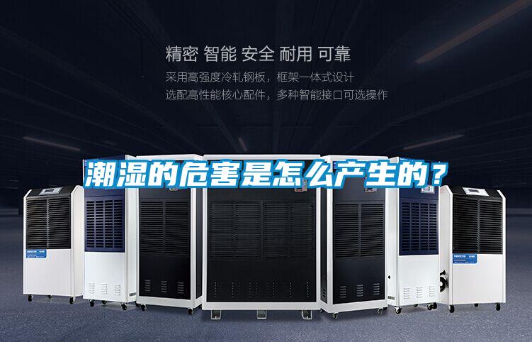 潮濕的危害是怎么產生的?