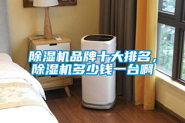 除濕機(jī)品牌十大排名，除濕機(jī)多少錢一臺啊