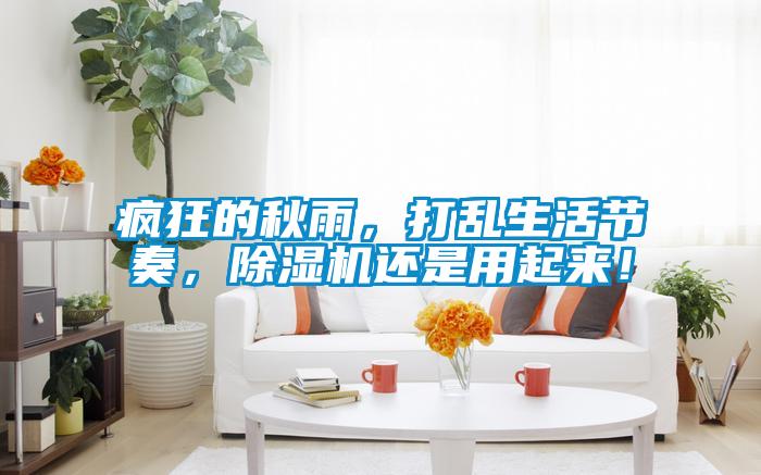 瘋狂的秋雨，打亂生活節(jié)奏，除濕機(jī)還是用起來(lái)！