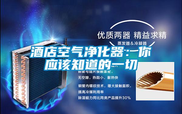 酒店空氣凈化器:你應(yīng)該知道的一切