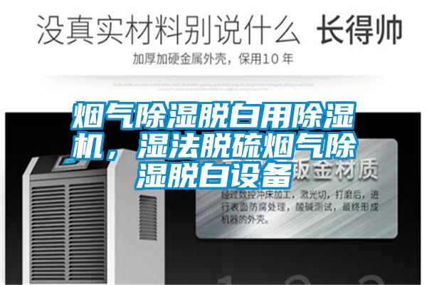 煙氣除濕脫白用除濕機,濕法脫硫煙氣除濕脫白設(shè)備