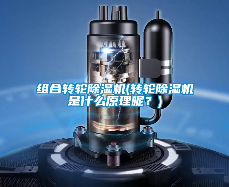 組合轉(zhuǎn)輪除濕機(轉(zhuǎn)輪除濕機是什么原理呢？)