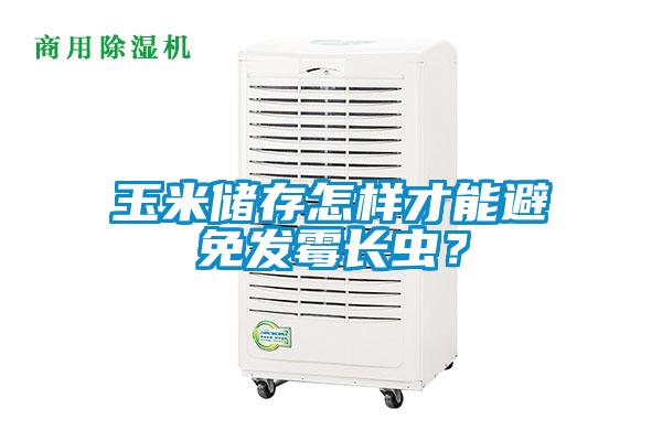 玉米儲存怎樣才能避免發霉長蟲？