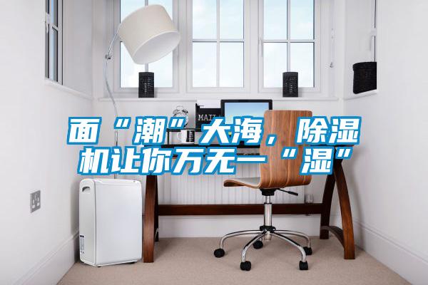 面“潮”大海，除濕機讓你萬無一“濕”