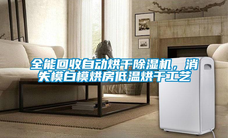全能回收自動烘干除濕機,消失模白模烘房低溫烘干工藝