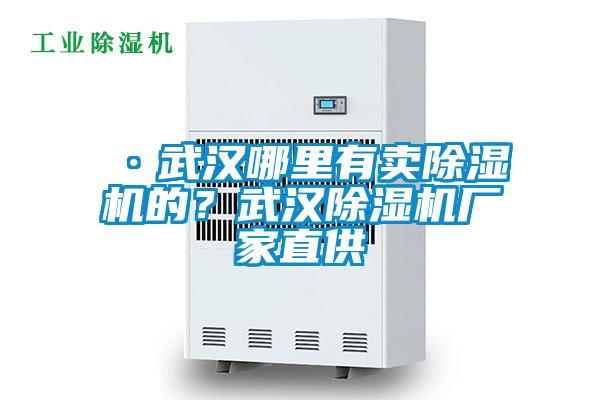 ·武漢哪里有賣除濕機(jī)的?武漢除濕機(jī)廠家直供