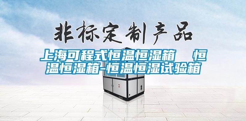 上海可程式恒溫恒濕箱 恒溫恒濕箱-恒溫恒濕試驗(yàn)箱