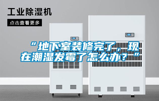 “地下室裝修完了,現(xiàn)在潮濕發(fā)霉了怎么辦?”