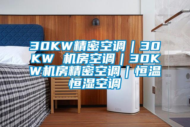 30KW精密空調(diào)|30KW 機房空調(diào)|30KW機房精密空調(diào)|恒溫恒濕空調(diào)