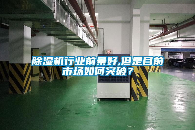 除濕機行業前景好,但是目前市場如何突破?