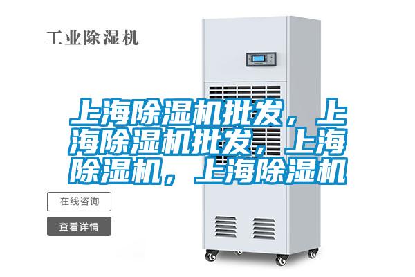 上海除濕機(jī)批發(fā),上海除濕機(jī)批發(fā),上海除濕機(jī),上海除濕機(jī)